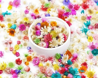 May include: A white ceramic bowl overflowing with a selection of vibrant, dried flowers, with more scattered around. The flowers are in shades of pink, yellow, orange, blue, and white, creating a colourful and natural display. Suitable for crafts or decoration.