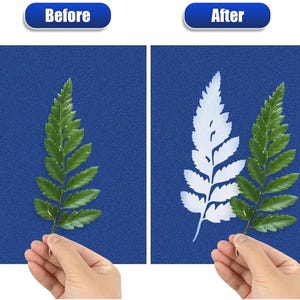 Może przedstawiać: Por&oacute;wnanie obraz&oacute;w liścia paproci przed i po transformacji. Obraz "Przed" przedstawia zielony liść, a obraz "Po" białą sylwetkę tego samego liścia. Tło jest niebieskie z fakturą. Widoczne są teksty "Przed" i "Po".
