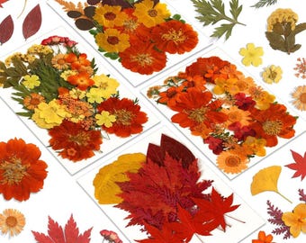 100 Pcs Autumn Orange Dried Pressed Flowers, - Real Fall Flowers & Leaves for Crafts, Resin, Jewelry, Scrapbooking, Candle and Soap Making