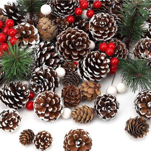 May include: A collection of white-frosted pine cones with red berries and white beads. The pine cones are arranged on a white background.