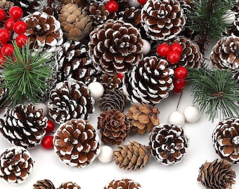 115Pcs Christmas Pine Cones Berry Pine Branch Set White Christmas Decorations for DIY Crafts Tree Gift Party Supplies, Assorted Sizes