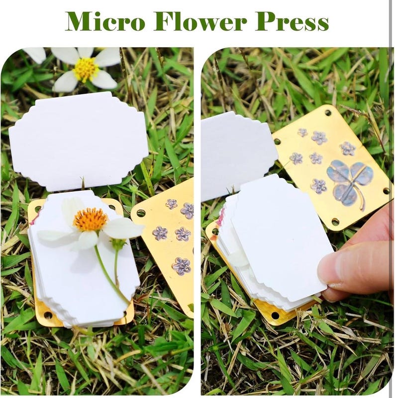 以下が含まれることがあります： 白い紙のインサートが付いた金色の金属製のフラワープレス。プレスが開いており、小さな白い花が中に置かれています。プレスは緑の芝生の上にあります。