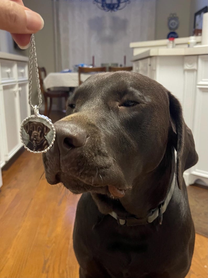 Chocolate Lab Broken China Necklace Etsy