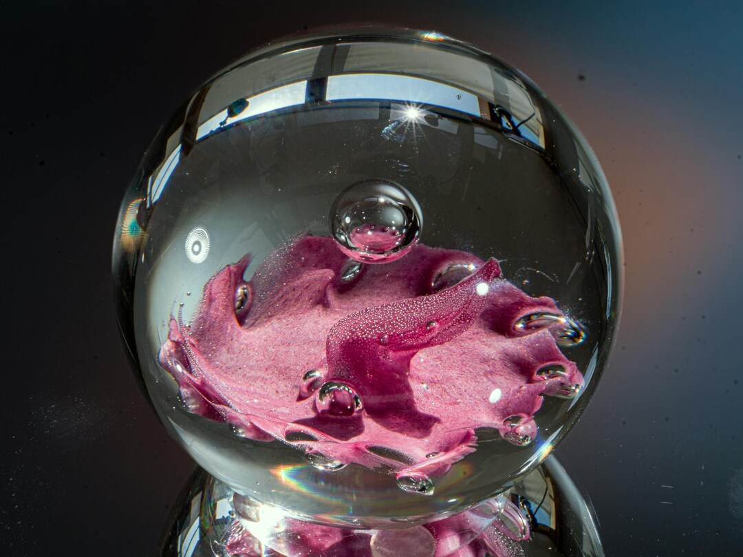 Colin Terris - Caithness Glass - Artistic Paperweight 