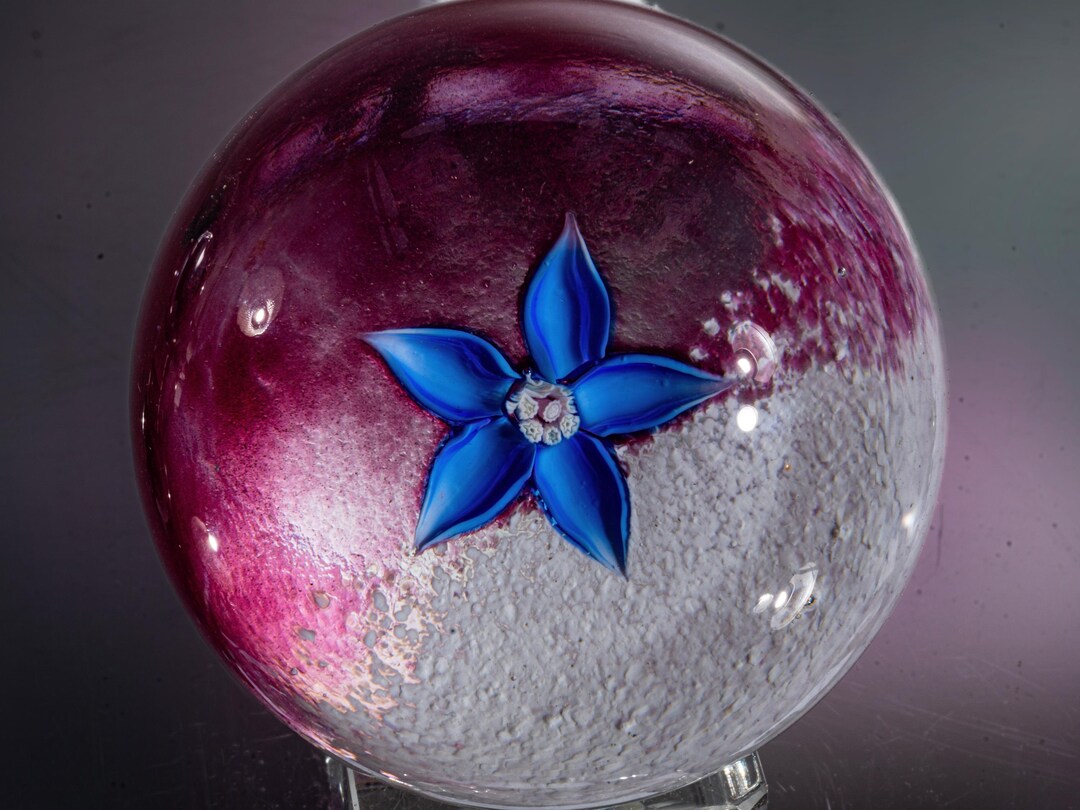Colin Terris - Caithness Glass - Paperweight - 