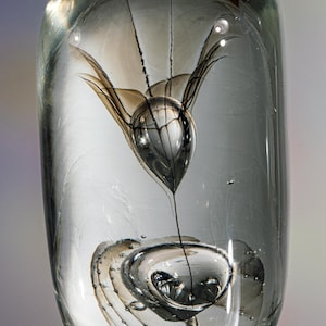 Può includere: Un fermacarte cilindrico in vetro trasparente contenente una scultura interna sospesa a forma di fiore marrone scuro e nero. Il corpo in vetro presenta sottili bolle d'aria e una parte superiore arrotondata che mostra un fiore delicato.