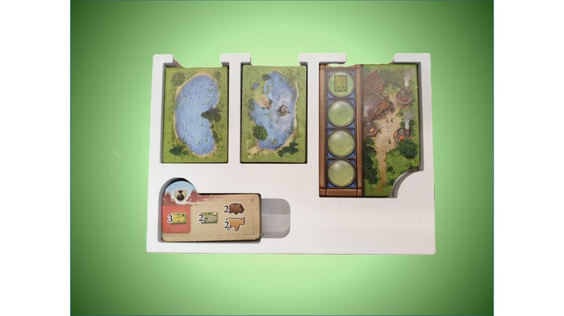 May include: White foam insert with four slots for game cards. The insert has a slot for a small card with the numbers 2 and 3 on it. The cards have green, blue, and brown backgrounds with illustrations.