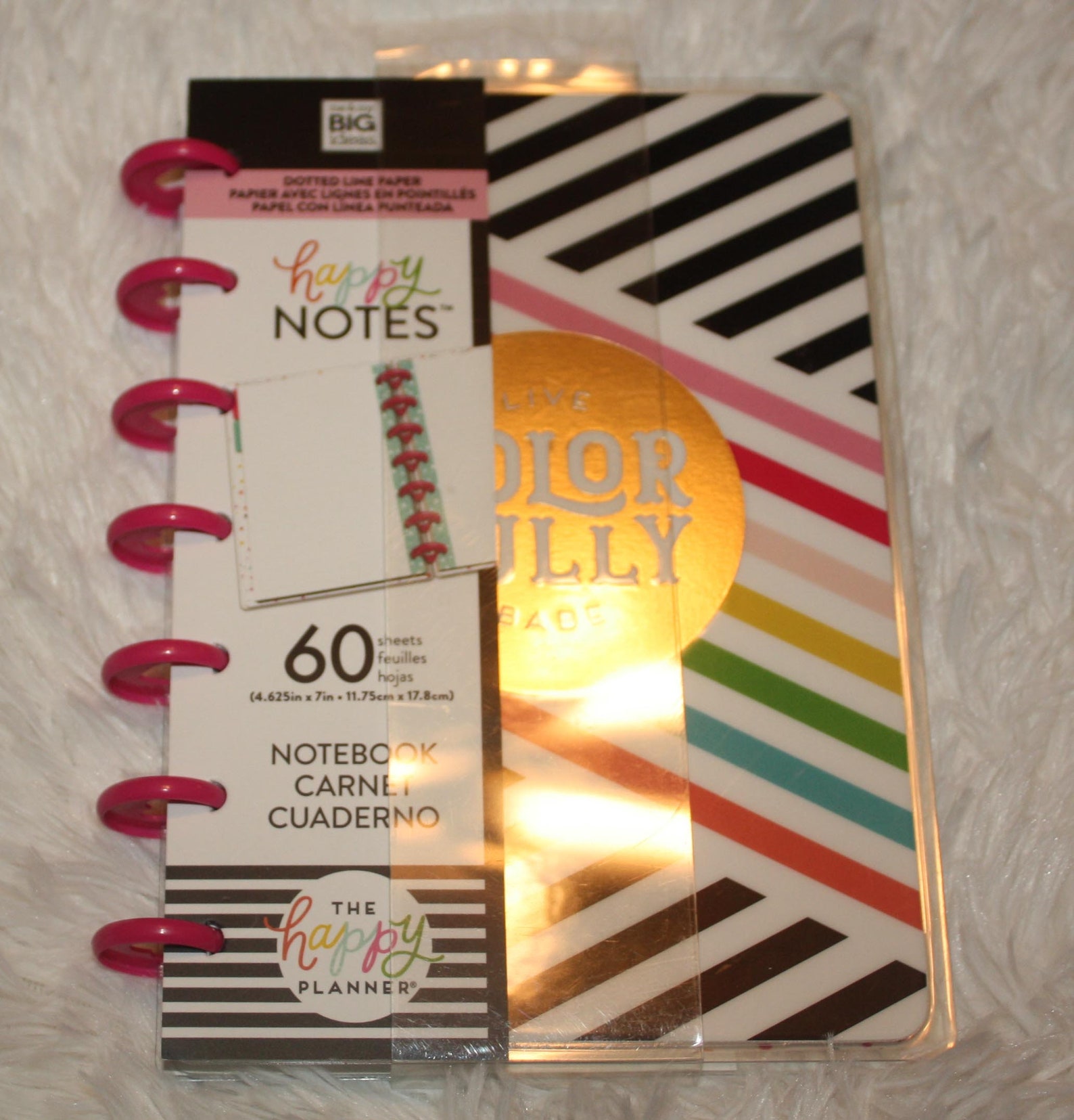 The Happy Planner Me and My Big Ideas 60 dotted lined Etsy