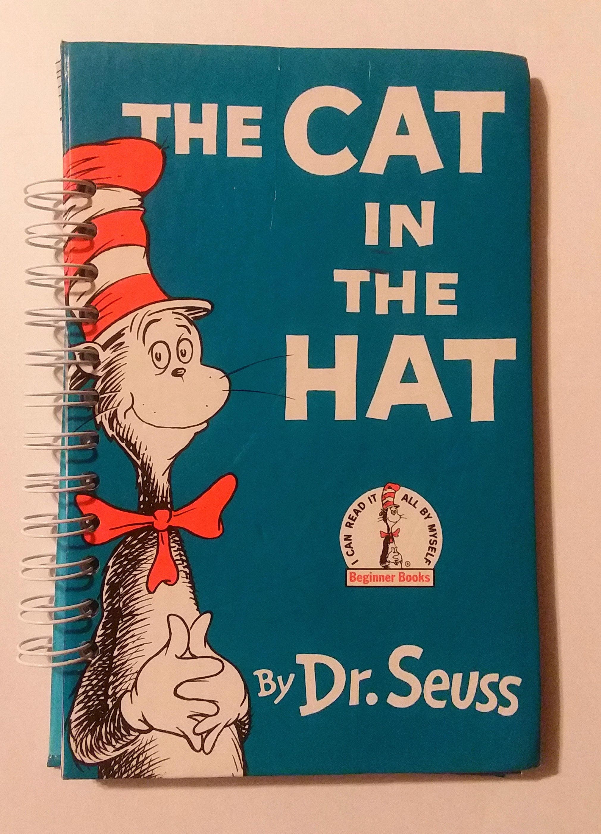 the cat in the hat book setting
