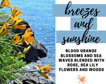 Breezes and Sunshine Fragrance Oil - Potpourri Refresher Oils - 1 oz (30 ml) Concentrated Fragrance Oils - Glass Amber Bottle with Dropper