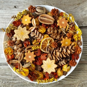 Falling For Autumn Artisan Potpourri
