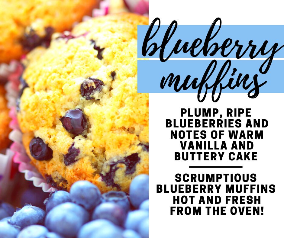Blueberry Muffins Fragrance Oil Concentrated Potpourri Refresher | 1 Oz/30 Ml