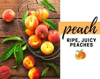 Peach Fragrance Oil - Potpourri Refresher Oils - 1 oz (30 ml) Concentrated Fragrance Oils - Glass Amber Bottle with Dropper
