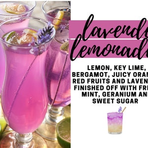 Lavender Lemonade Fragrance Oil - Potpourri Refresher Oil - 1oz (30 ml) Concentrated Oils - Glass Amber Bottle with Dropper