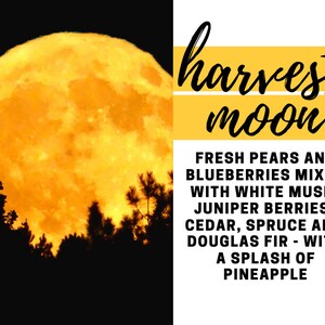 May include: An image with a large, bright orange harvest moon in the night sky. The moon is the focal point, with dark silhouettes of trees at the bottom. Text reads "harvest moon" and lists fragrance notes: pears, blueberries, white musk, juniper berries, cedar, spruce, Douglas fir, and pineapple.