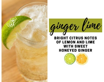 Ginger Lime Fragrance Oil - Potpourri Refresher Oils - 1 oz (30 ml) Concentrated Fragrance Oils - Glass Amber Bottle with Dropper