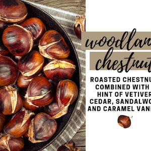 Woodland Chestnut Fragrance Oil - Potpourri Refresher Oils - 1 oz (30 ml) Concentrated Fragrance Oils - Glass Amber Bottle with Dropper
