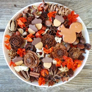 May include: A white bowl filled with autumn-themed potpourri. The arrangement includes pine cones, acorns, cinnamon sticks, and orange and brown decorative elements. A ceramic squirrel and acorn-shaped cookies are also present.