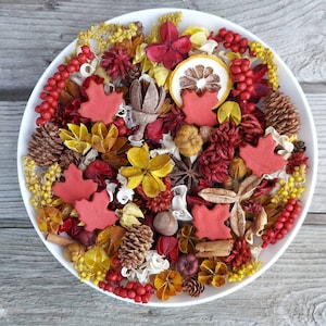 North Woods Maple Leaves Artisan Potpourri