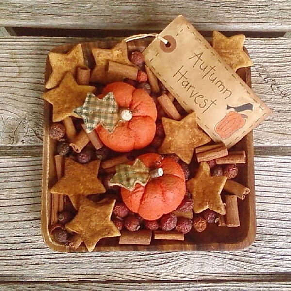 Autumn Harvest Pumpkins and Saltdough Mix