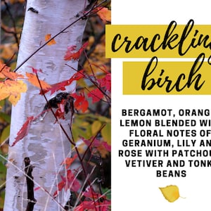 May include: A close-up of a birch tree trunk with white bark and peeling layers. The tree is surrounded by red and yellow leaves. The text "crackling birch" is written in yellow and black letters. The text "BERGAMOT, ORANGE, LEMON BLENDED WITH FLORAL NOTES OF GERANIUM, LILY AND ROSE WITH PATCHOULI, VETIVER AND TONKA BEANS" is written in black letters.