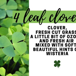 4 Leaf Clover Fragrance Oil - Potpourri Refresher Oils - 1 oz (30 ml) Concentrated Fragrance Oils - Glass Amber Bottle with Dropper
