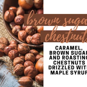 Brown Sugar Chestnuts Fragrance Oil - Potpourri Refresher Oils - 1 oz (30 ml) Concentrated Fragrance Oils - Glass Amber Bottle with Dropper