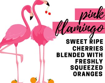 Pink Flamingo Fragrance Oil - Potpourri Refresher Oils - 1 oz (30 ml) Concentrated Fragrance Oils - Glass Amber Bottle with Dropper