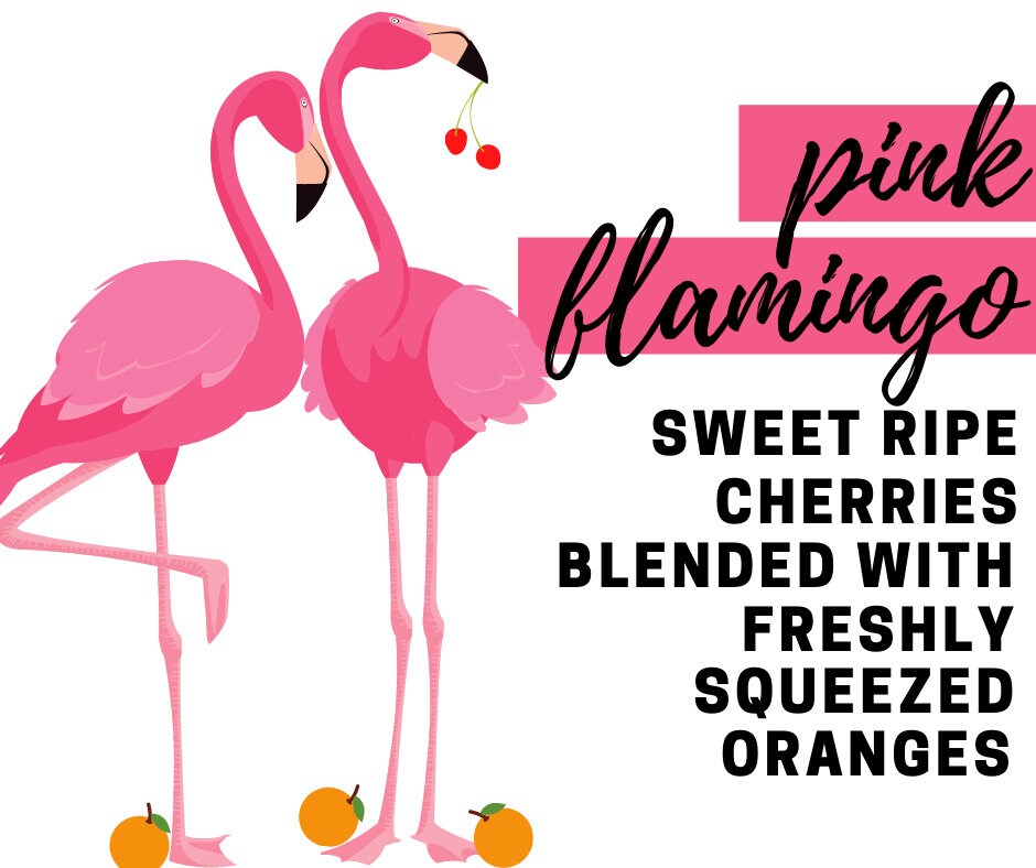 Pink Flamingo Fragrance Oil - Potpourri Refresher Oils - 1 oz (30 ml) Concentrated Fragrance Oils - Glass Amber Bottle with Dropper