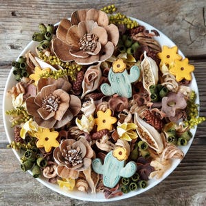 Desert Cactus Garden Artisan Potpourri