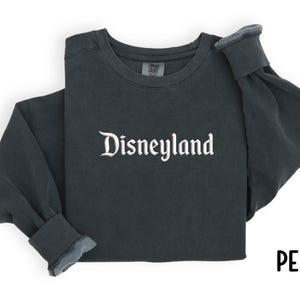 Puede incluir: Sudadera de manga larga gris oscuro con la palabra "Disneyland" en escritura blanca en el pecho. Las mangas est&aacute;n dobladas. La palabra "PEPPER" est&aacute; escrita en escritura negra en la esquina inferior derecha.