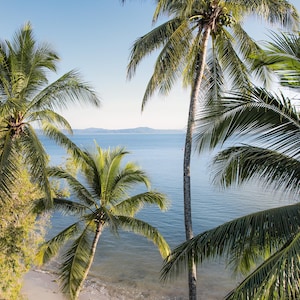 Tropical Wall Art - Port Douglas