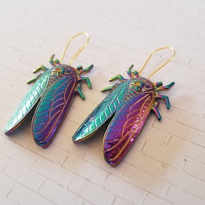 Psychedelic Cicada Earrings | Cicada Earrings | **NEW | Gift for Her ...