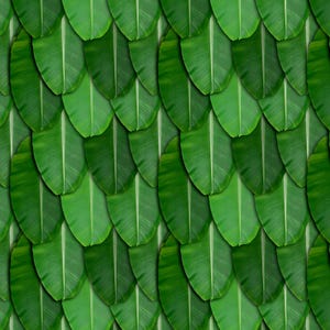Puede incluir: Un patrón repetido de hojas de plátano verdes superpuestas. Cada hoja es de un verde vibrante con una vena central prominente. La disposición crea un efecto texturizado y en capas, ideal para temas tropicales o botánicos.