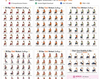 Seated Core Exercises for Seniors Bundle, Chair Core Stability Workout Printable Chair Yoga Style PDF PNG, Gentle Low Impact Elderly Fitness