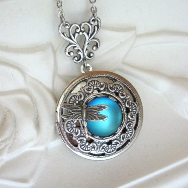 Encantado de libélula, medallón, collar plata medallón, collar libélula, las señoras medallón, medallón antiguo, laguna azul, lago medallón