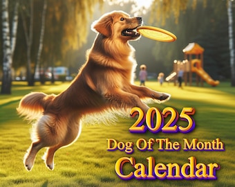 Puede incluir: Un perro golden retriever salta en el aire, atrapando un frisbee amarillo en su boca. El perro está en un parque de hierba con árboles en el fondo. El texto "2025 Dog Of The Month Calendar" está en primer plano.