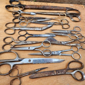 May include: A collection of vintage scissors of various sizes and designs, arranged on a wooden surface. The scissors show signs of age, with some having a rusty appearance. The blades are made of metal and the handles have finger holes.