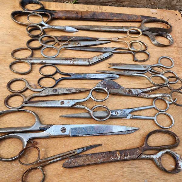 lot old rusty scissors