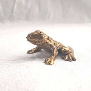 Little Brass Frog....or is it a Toad?