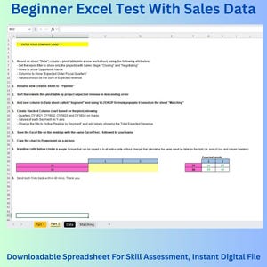 May include: A beginner Excel test with sales data. The test includes instructions for creating a pivot table, sorting rows, adding a column, creating a stacked column chart, saving the file, copying the chart to PowerPoint, and creating a formula. The test also includes a table with expected results.