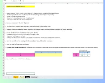 Beginner Excel Test: Sales Data, Pivot Table, Data Matching (Digital Download)