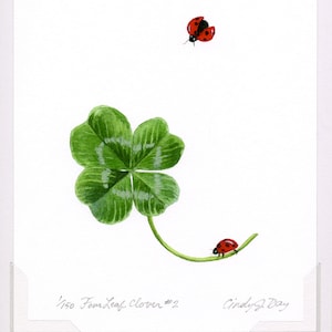 Acquerello, quadrifoglio e coccinella, regalo portafortuna, stampa artistica, quadrifoglio, regalo di laurea, regalo di inaugurazione della casa, stampa artistica ad acquerello