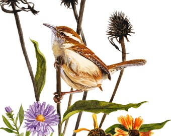 Carolina Wren Art, Bird Art, Watercolor Art, Nature Art, Botanical, Songbird, Autumn Wall Art, Carolina Wren, Bird Lover Gift, Botanical Art