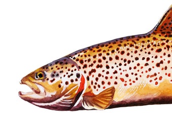 Brown Trout, Fly Fishing, Brown Trout Art, Trout Art, Fly Fishing Art, Trout Watercolor, Brown Trout Print, Fishing Art, Fishing Gift