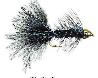 Puede incluir: Ilustración en acuarela de un señuelo de pesca con mosca Woolly Bugger. La mosca presenta un cuerpo negro con detalles dorados, una cabeza dorada y plumas negras. El texto "Woolly Bugger" está debajo.