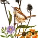 see more listings in the Bird paintings section