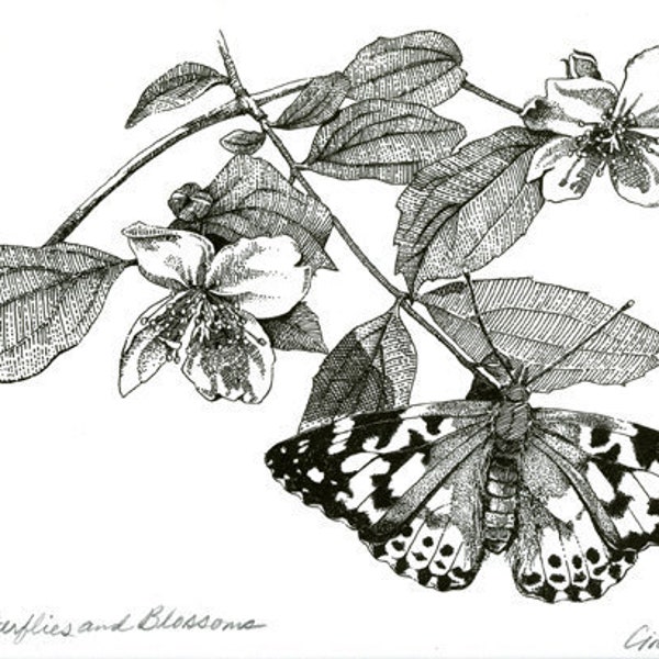 Butterfly pen and ink, Botanical Art pen and ink, 5x7 Art Print Matted Print, Floral Art Print, Butterfly Art, Mothers Day Gift