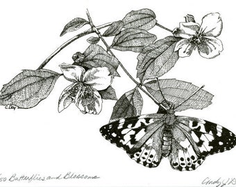 Butterfly pen and ink, Botanical Art pen and ink, 5x7 Art Print Matted Print, Floral Art Print, Butterfly Art, Mothers Day Gift