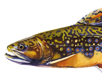 Brook Trout, Appalachian Brook Trout, Speckled Trout, Trout Art, Trout Watercolor, Fly Fishing Art, Brook Trout Art, Lake House Decor